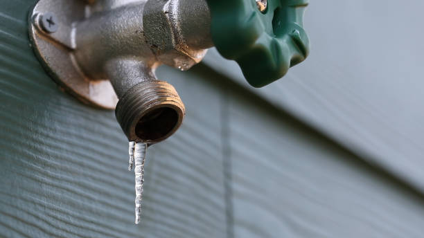 Best Affordable Plumbing Services  in Vamo, FL